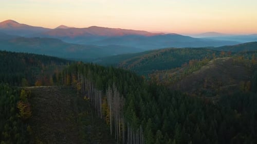 Luftaufnahme eines farbenfrohen Abends über dunklen, abgeholzten Wäldern mit abgeholzten Bergwaldbäumen bei