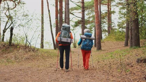 Hiking Tourism Adventure Senior Couple Man Woman Enjoying Outdoor Recreation Hiking in Forest Happy