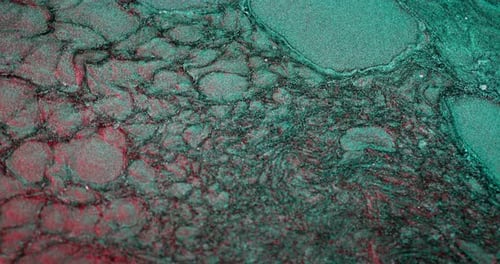 Color Fluid Abstract Background Ink Water Flow