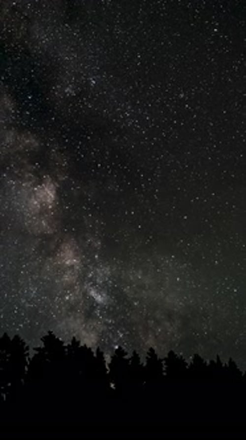 Time Lapse of The Milky Way Galaxy Moves Above the Silhouettes of Trees