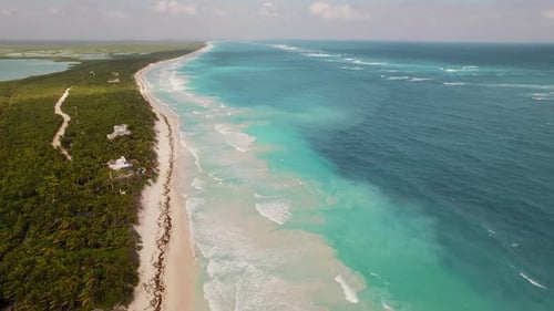 Aerial of a long sandy beach with clear waves and dense green jungle in Mexico
