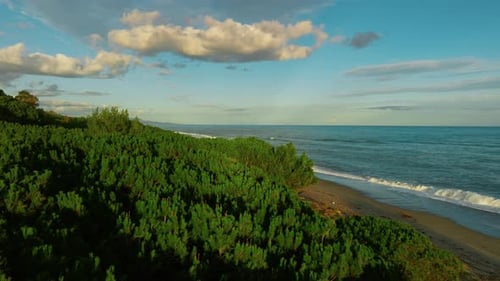 In The Tree Canopy Of An Island With Ocean Waves Crashing On The Shore In Sicily