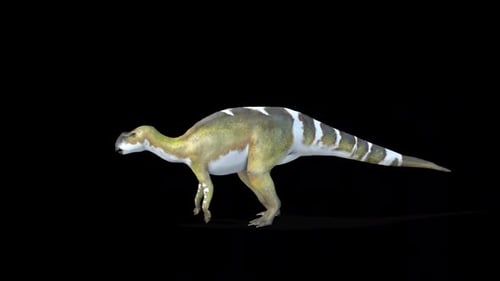 Dinosaure Muttaburrasaurus