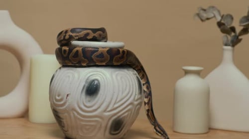 Jarrón de cerámica moteado con forma de pitón arrastrándose para interiores