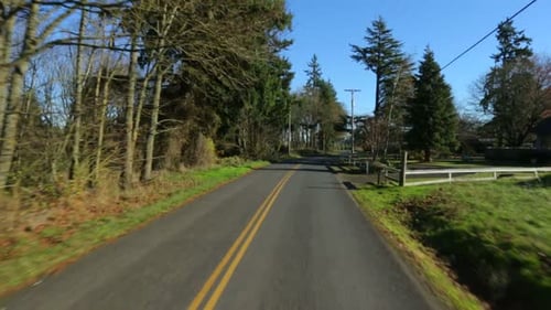 Driving fast down a picturesque country road lined with lush green trees