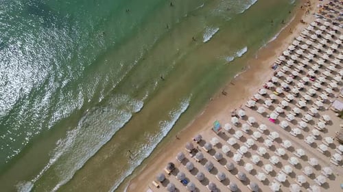 Drone Video of a Crowded Beach with Rows of Umbrellas and Sunbathers Set Against the Gentle Waves of