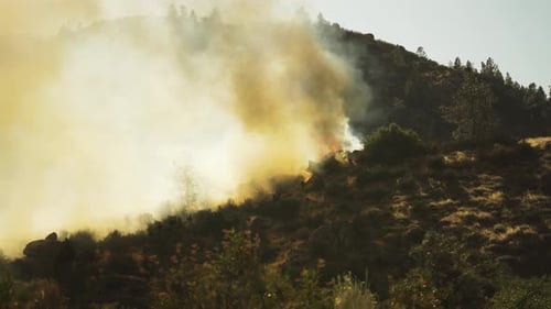 Wildfire burning brush in dry arid hillside, natural disaster drought impact