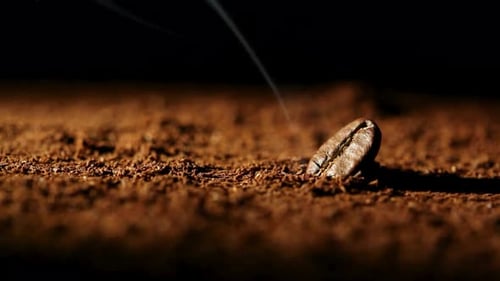Coffee Beans, Coffee
