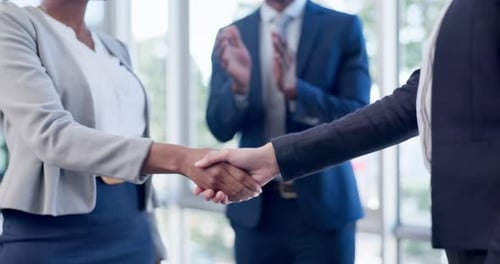 Business Handshake to Seal Deal in Office Setting