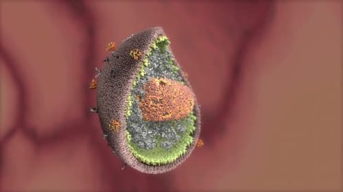 Detailed 3D Animation of HIV Virus Structure