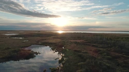 Aerial Landscape in Rural Area Drone Flies Over the Green Grass in Marshland Beautiful Morning