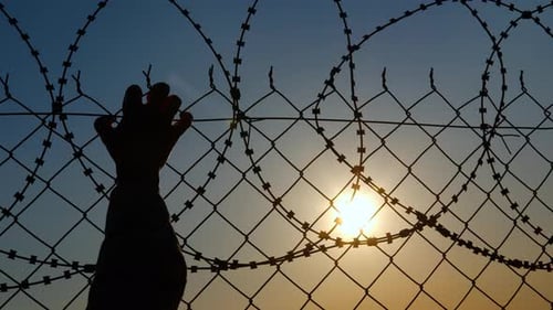 Person Reaching for Fence at Sunset
