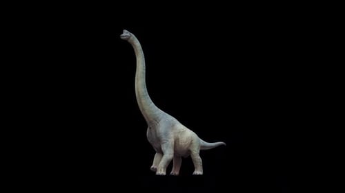 Brachiosaurus Walk Loop
