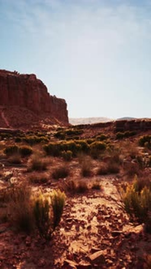 Desert Dirt Road Stretching Through Nevada
