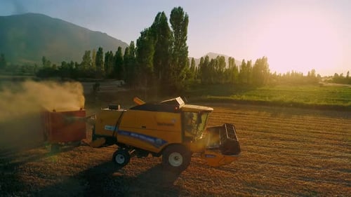 Combine Harvester Working in Field at Sunrise