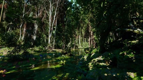 Peaceful Swamp Area Inhabited By Birds and Amphibians Thriving