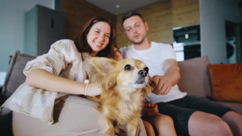 Family Cuddling Dog Together on Couch at Home