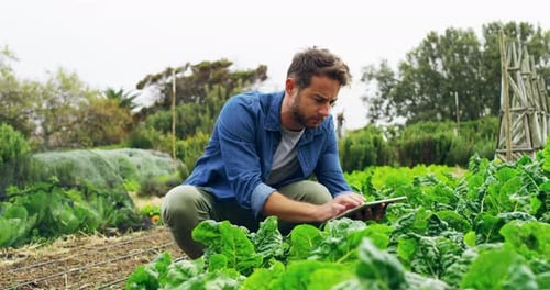 4k footage of a young man using a digital tablet while working on a farm