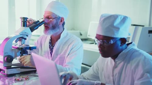 Wissenschaftler analysieren Proben unter dem Mikroskop im Labor