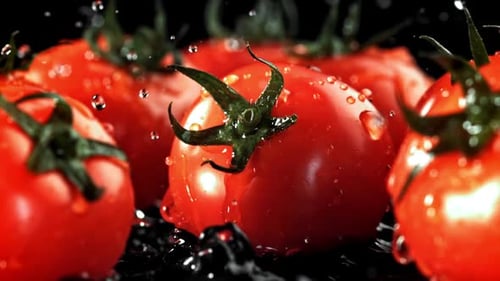 Water Droplets Fall on the Tomatoes Filmed on a Highspeed Camera at 1000 Fps
