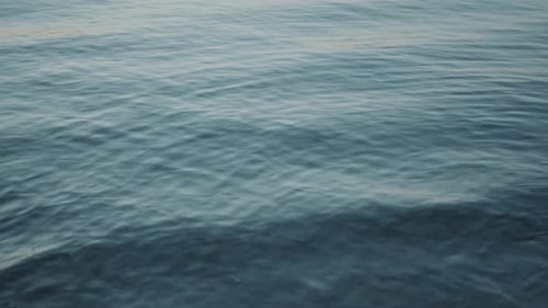 Gentle Waves Rippling across Calm Lake Surface