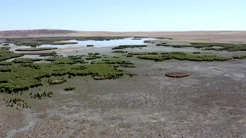 Aerial View of Wetlands on a Sunny Day