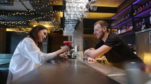 the Bartender Makes a Cocktail to the Guest in the Restaurant at the Bar