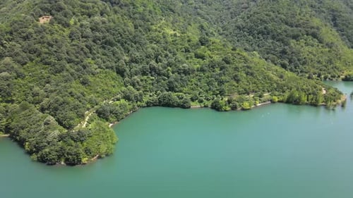 aerial lake forest