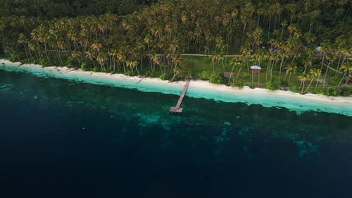 Paradise Tropical Beach with Wooden Pier and Coconut Palm Trees in Indonesia