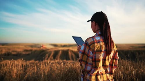 Woman Farmer in Wheat Field Holding Digital Tablet and Typing on Screen Working Combine Harvester