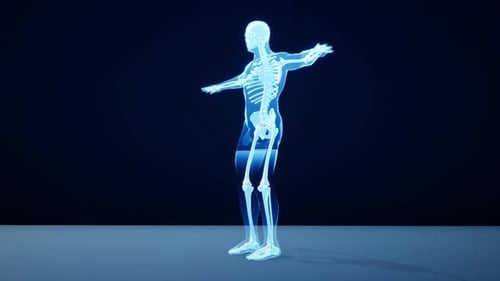 Rotating 3D Human Skeleton X-ray Hologram Medical Animation