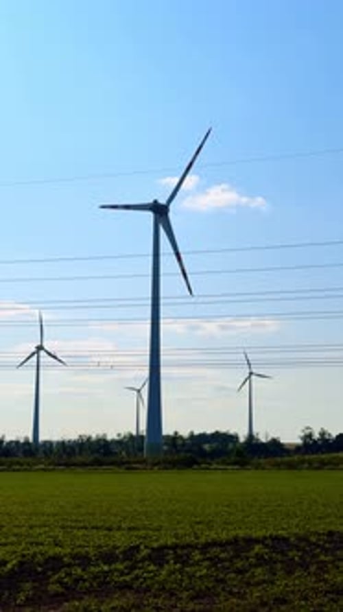 Wind Turbines in a Green Field on Sunny Day