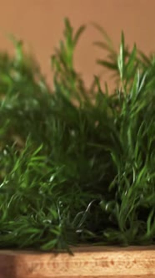 Dill Falls on a Wooden Plank Filmed on a Highspeed Camera at 1000 Fps