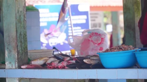 Fischhaufen auf dem Tisch zum Verkauf auf dem Markt.
Meeresfrüchte