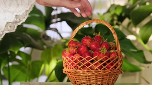 Basket of Ripe Strawberries on Table Indoors