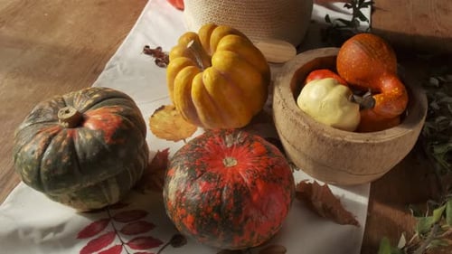 Colorful Gourds and Pumpkins on Table for Fall