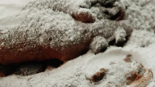 German Stollen Bakery Dessert Closeup Bun with Spices Raisins Nuts and Candied Fruits and Powdered