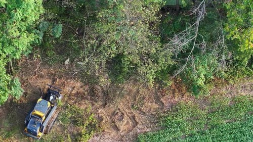 Luftaufnahme eines Traktors im Wald, Vereinigte Staaten.