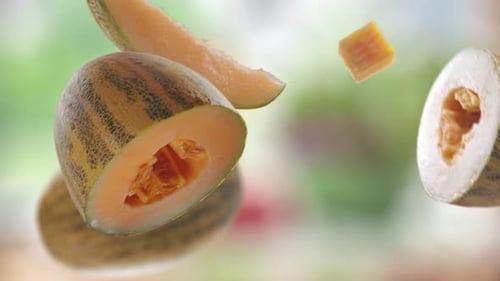 Flying Melon and Melons Slices in Green Garden Orchard Shiny Background