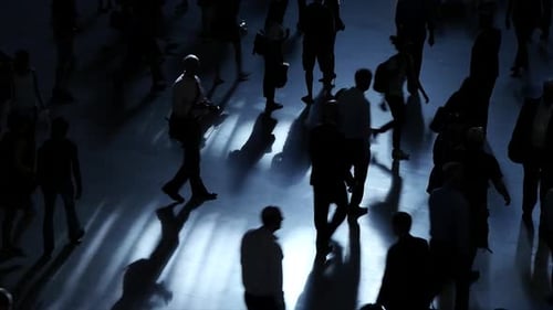 Pedestrians Silhouette During the Day at the City