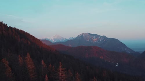 Aerial drone view flight over forest in Mountain at sunset/sunrise.