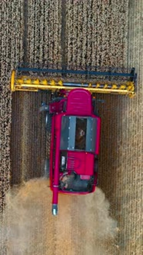 Modern agricultural equipment. Pink combine harvester working on field during seasonal works.