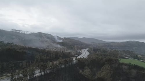 Aftermath of a Burnt Forest with Lingering Smoke Rising From the Scorched Landscape