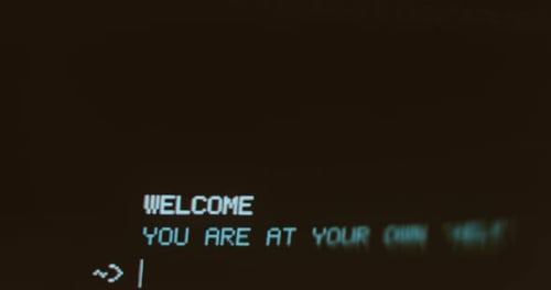 Computerbildschirm mit einer textbasierten Oberfläche, auf der das Wort WELCOME angezeigt wird