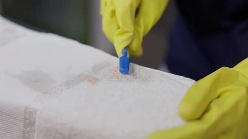 Hands In Gloves Removing Stain On White Towel Using Brush At Laundry Shop. closeup shot