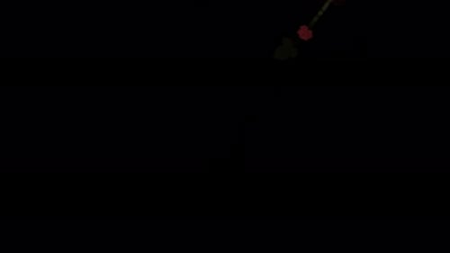 Elegant Rose Vine Growth Transition Reveal