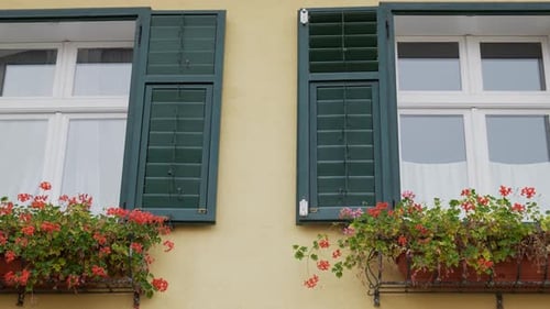 Open Green Shutters Windows Of Beige Building At Day Time. Flower Pot With Blossom Flowers And