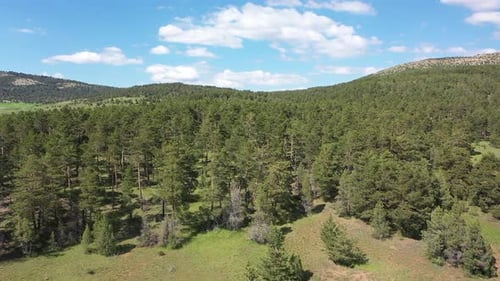 Zone boisée avec vue aérienne