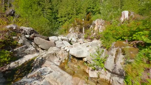 Flight Over Brook in the Forest Canadian Nature Filmed By FPV Drone