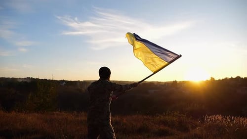 Silhouette Holding Flag at Sunset in Rural Setting